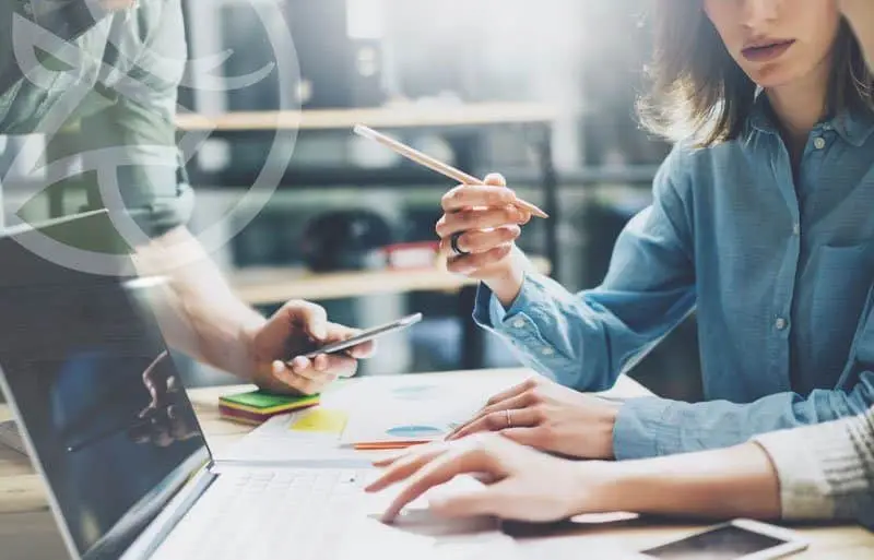 WHELK | Creative | SEO | Support | Hosting | WordPress Avada Theme