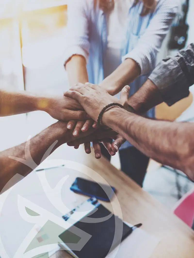 WHELK | Creative | SEO | Support | Hosting | WordPress Avada Theme