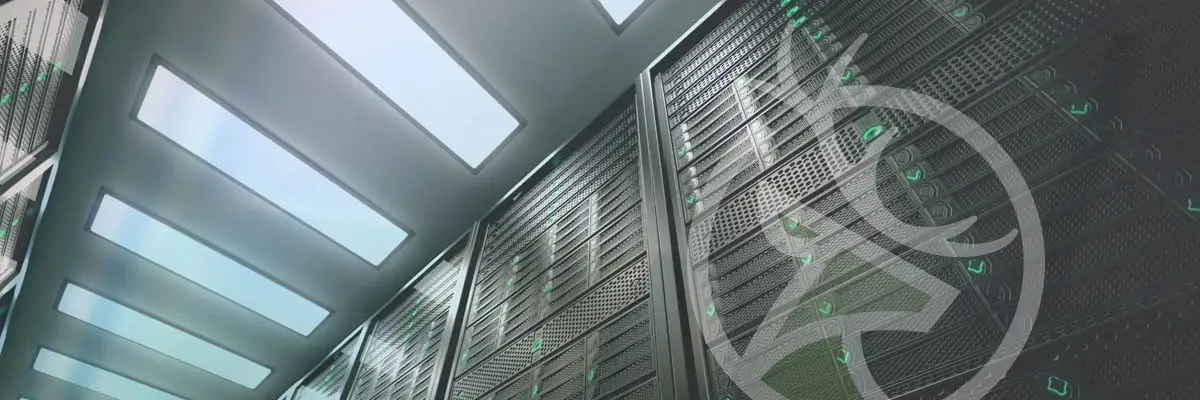 Fully Managed VPS Hosting Avada theme WordPress Whelk Creative Support Web Design
