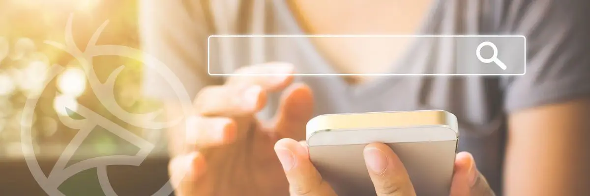 Fille avec téléphone qui valide l'optimisation SEO d'un site web | Whelk