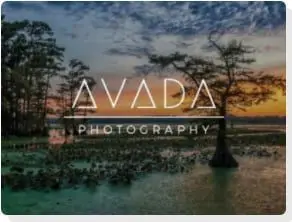 Whelk Avada Demo Photography