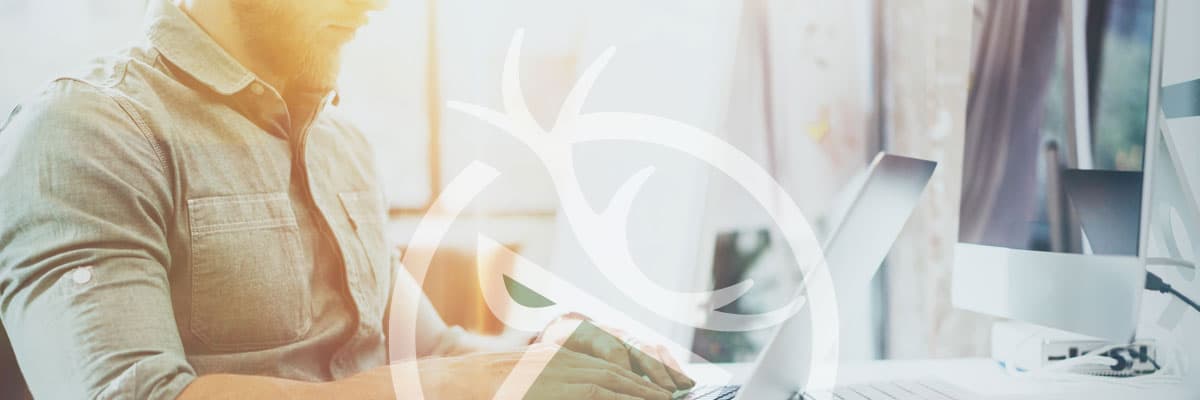 Managed WordPress Hosting, Cloud & Security expert at the Whelk Knowledge Centre