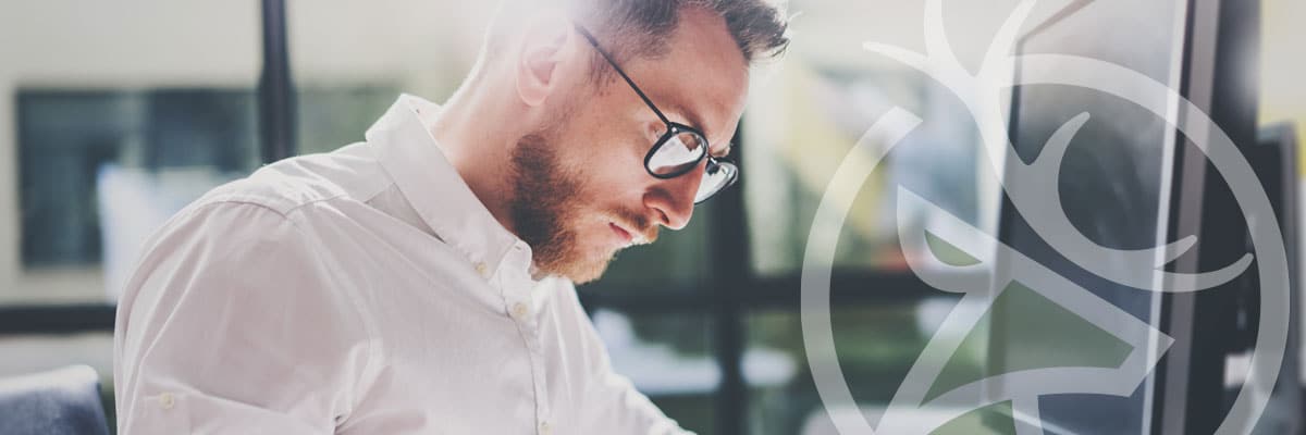 Domains, Email & Infrastructure specialist at the Whelk Knowledge Centre