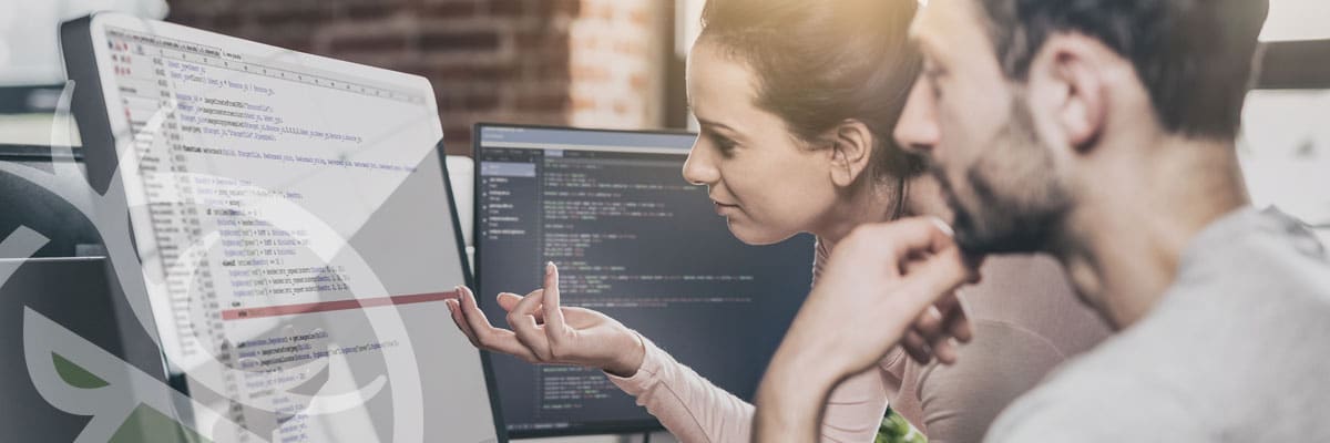 WordPress Security experts at the Whelk Knowledge Centre