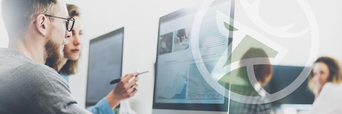 Website design experts at the Whelk Knowledge Centre
